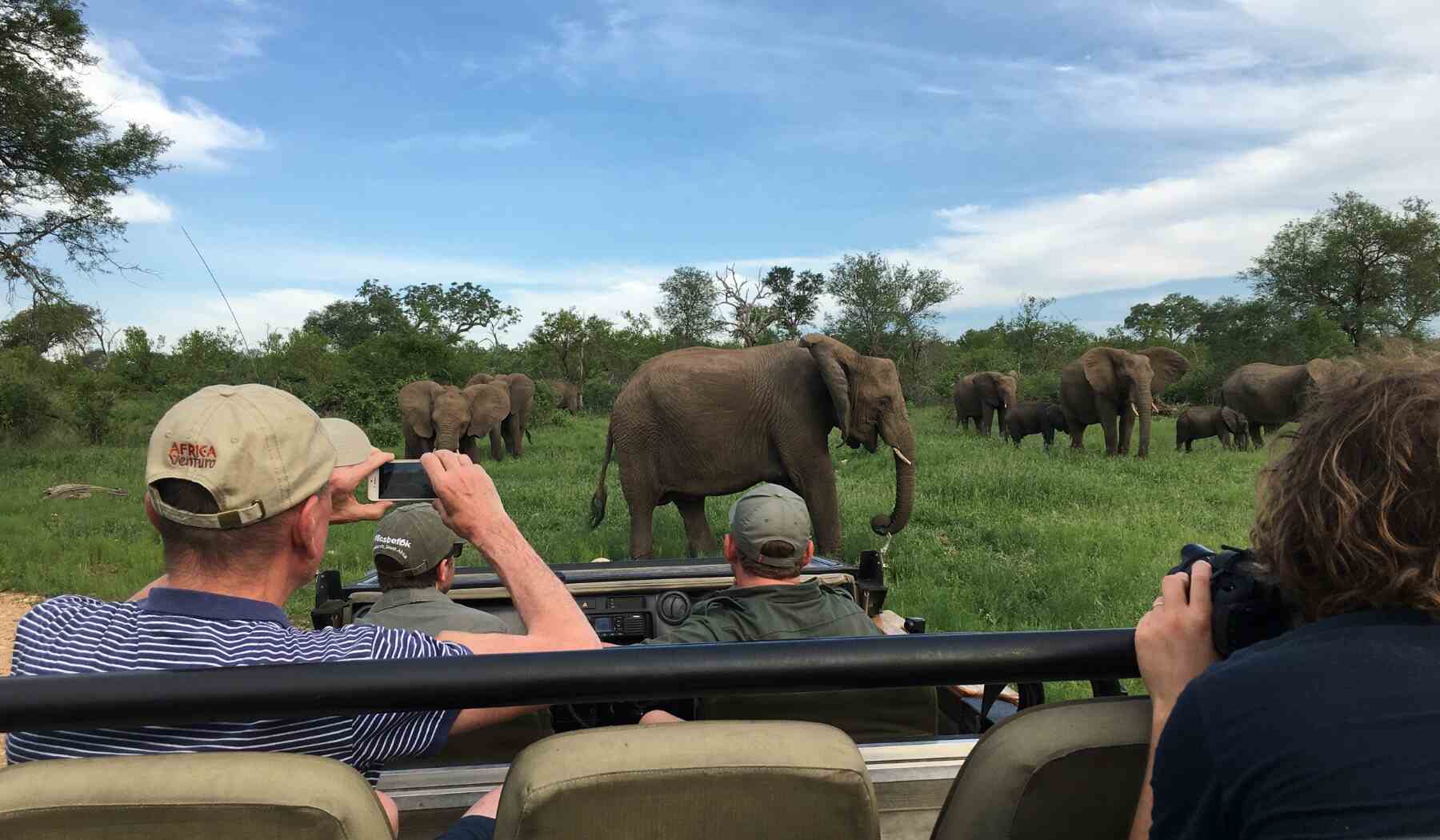 safari-southafrica