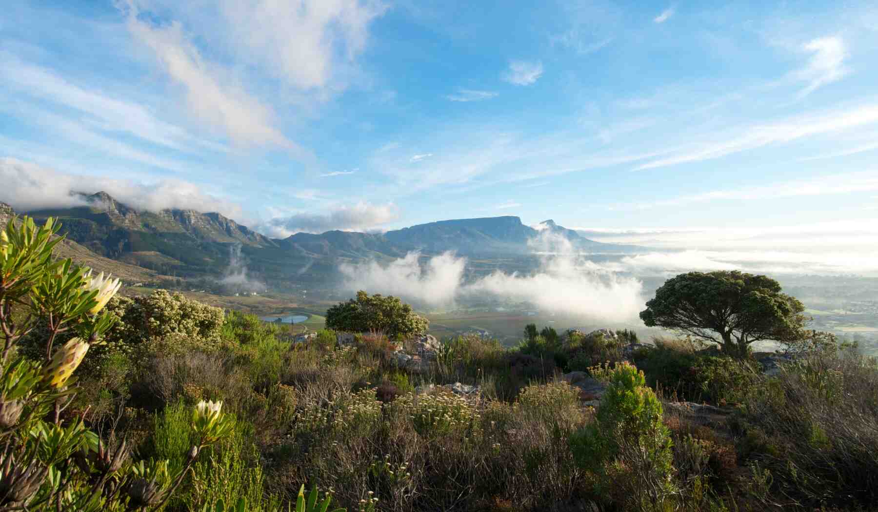 Silvermine-afrique-du-sud