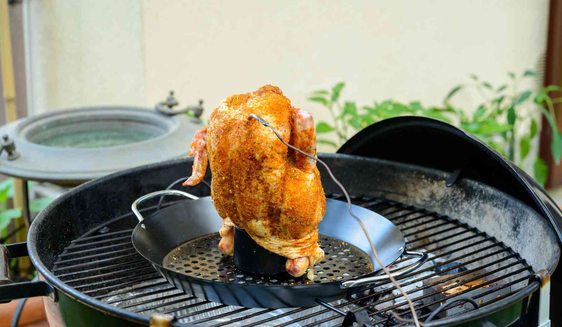 beer-can-chicken-braai-afrique-du-sud